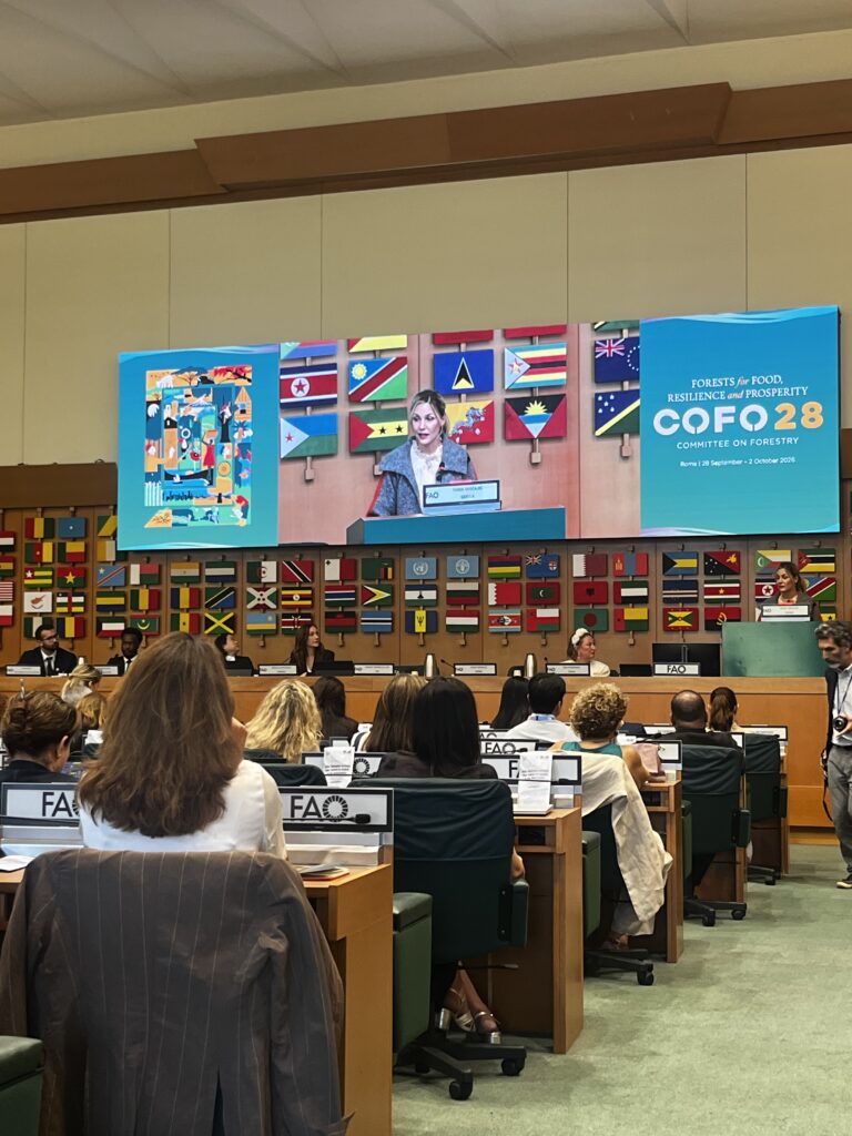 WAI alla FAO: donne, bioeconomia e innovazione al centro del dialogo internazionale